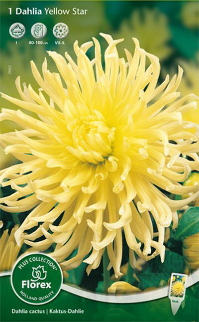 Георгина кактусовая Йеллоу Стар (одна из самых популярных желтых георгин! нежно-жёлтый , диаметр цветка 16 см, дает отличную срезку, 1 шт)