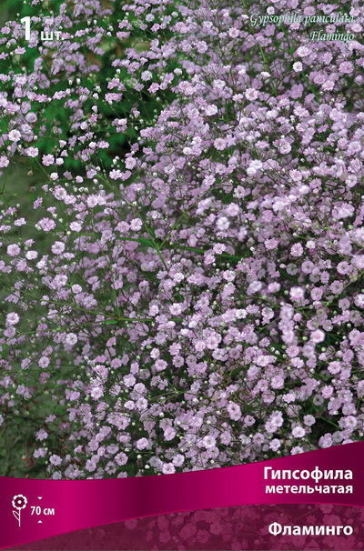 Гипсофила метельчатая Фламинго (розовый, махровый, 1шт, I)
