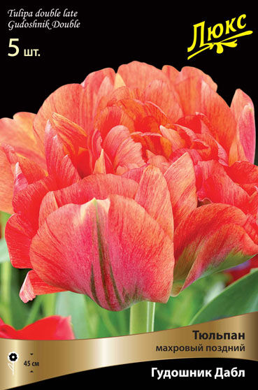 Тюльпан махровый поздний Гудошник Дабл (светло-оранжевый с красным штрихом,огромный цветок, оригинальный!, 10шт)