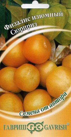 Физалис Изюмный Сюрприз (Гавриш, 20шт.)