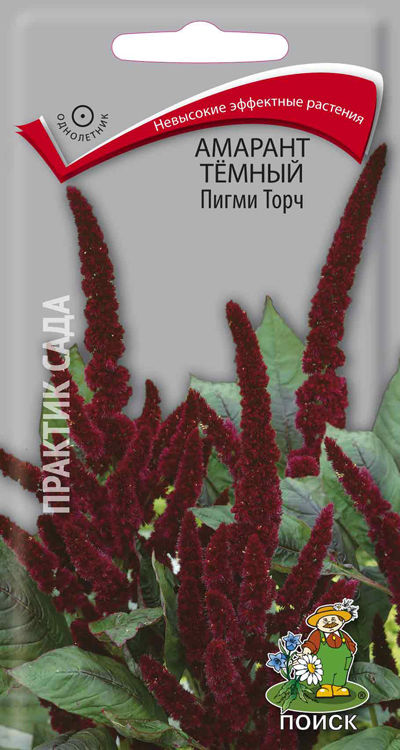 Амарант тёмный Пигми Торч (ЦВ) ("1) 0,3гр.