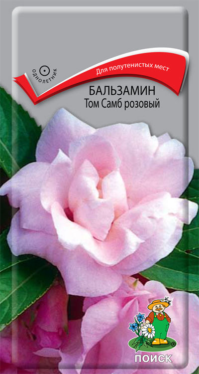 Бальзамин Том Самб розовый ( ЦВ) ("1) 0,1гр.