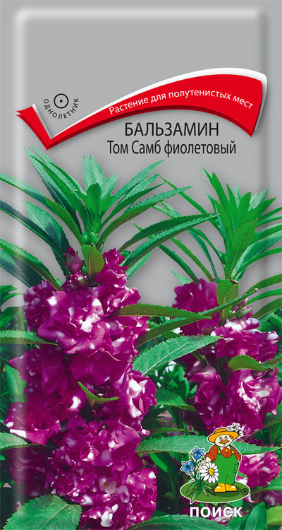 Бальзамин Том Самб фиолетовый ( ЦВ) ("1) 0,1гр.