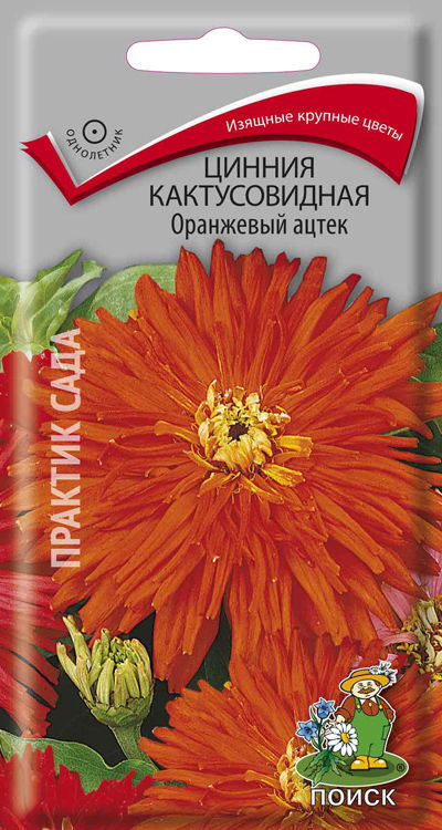 Цинния кактусовидная Оранжевый ацтек (ЦВ) ("1) 0,4гр.