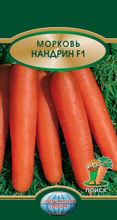 Морковь Нандрин F1 (ЦВ*) 0,5гр.