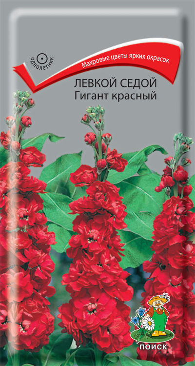 Левкой седой  Гигант красный (ЦВ) ("1) 0,1гр.