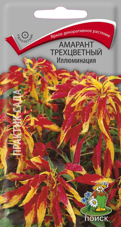 Амарант трехцветный Иллюминация (ЦВ) ("1) 0,1гр.