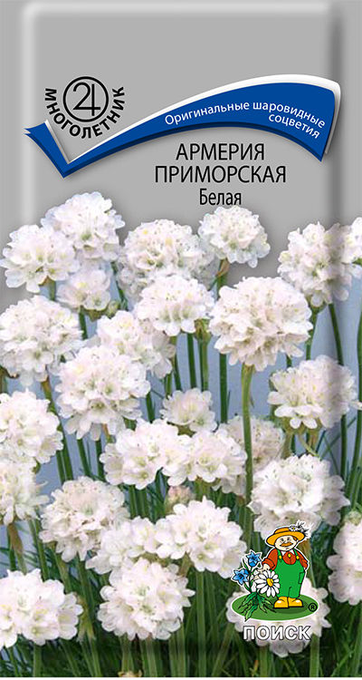 Армерия приморская Белая (0,05 гр)