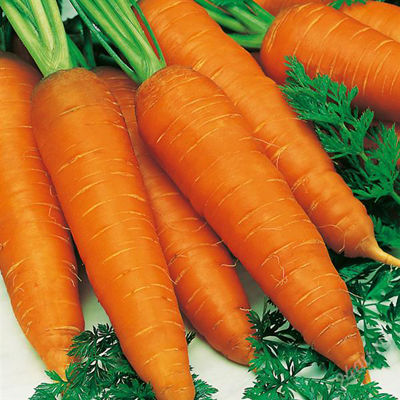 Морковь Несравненная (банка-500гр)(фракция 1,6-2 мм)