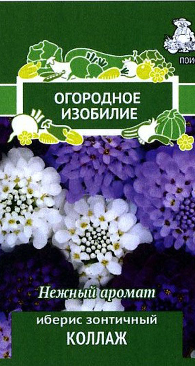 Иберис зонтичный Коллаж (Огородное изобилие) ("1) 0,5гр
