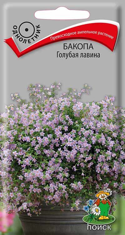 Бакопа Голубая лавина (ЦВ) ("1) 5шт
