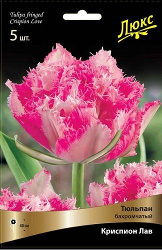 Тюльпан бахромчатый Криспион Лав (розовый, махровый) 10 шт