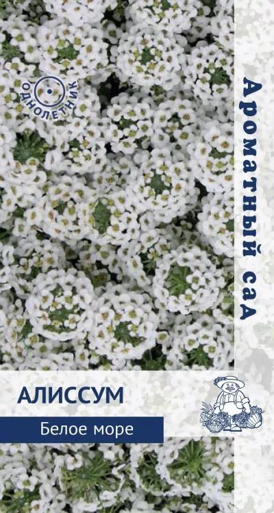 Алиссум Белое море (ЦВ) (Ароматный сад "1) 0,3гр