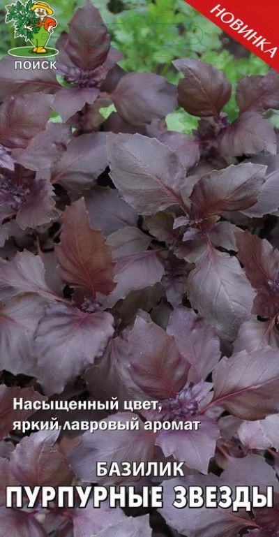 Базилик овощной Пурпурные звезды (А) (ЦВ) 0,1гр.