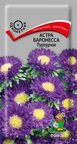 Астра Баронесса Пурпурная (ЦВ) ("1) 0,3 гр.