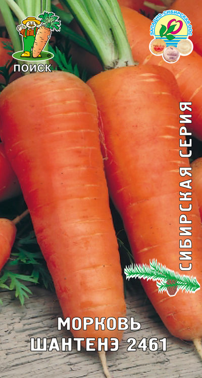 Морковь Шантенэ 2461 (сиб.серия) (ЦВ) 2гр.